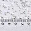 Glass Seed Beads SEED-S042-04B-06-4