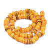Natural Trochid Shell/Trochus Shell Beads Strands X-SHEL-S258-081-B10-2