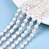 Natural Cultured Freshwater Pearl Beads Strands PEAR-S017-005-2