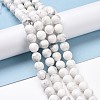 Natural Howlite Beads Strands G-E571-29B-2