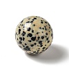 Natural Dalmatian Jasper Beads G-A206-02-08-2