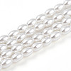 Baking Paint Pearlized Glass Pearl Bead Strands X-HY-T002-01C-01-3