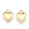 Ion Plating(IP) 304 Stainless Steel Charms STAS-G176-36G-A-2