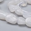 Natural Rainbow Moonstone Beads Strands X-G-L493-50-2
