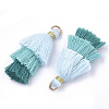 Polycotton(Polyester Cotton) Tassel Pendant Decorations X-FIND-T018-02-2