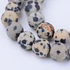 Natural Dalmatian Jasper Beads Strands X-G-Q462-8mm-05-1