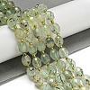 Natural Prehnite Beads Strands G-N342-58-2