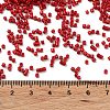 Baking Paint Glass Seed Beads X-SEED-S042-05B-89-4