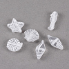 Craft Style Transparent Acrylic Charms X-TACR-S131-07-1