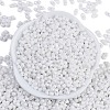 Baking Paint Glass Seed Beads X1-SEED-K010-A03-3