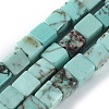 Natural Howlite Beads Strands TURQ-L030-03A-1