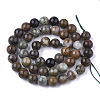 Natural Serpentine Beads Strands G-S333-8mm-015-2