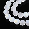 Frosted Transparent Glass Beads Strands GLAA-T032-T10mm-MBB13-3