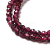Natural Garnet Beads Strands X-G-I341-09A-4