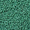 MIYUKI Delica Beads SEED-J020-DB2127-3