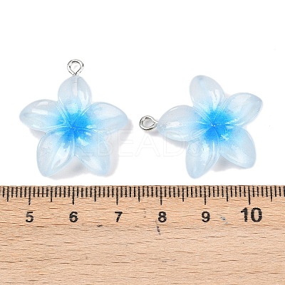 Transparent Resin Pendants RESI-P048-01P-1