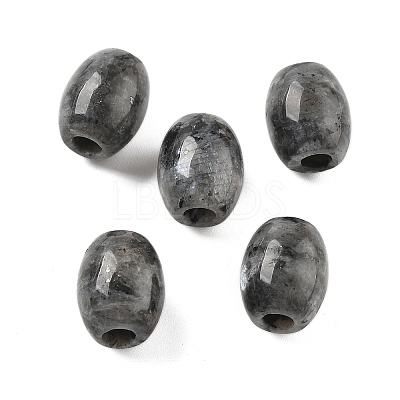 Natural Larvikite European Beads LS-G-F580-A11-01-1