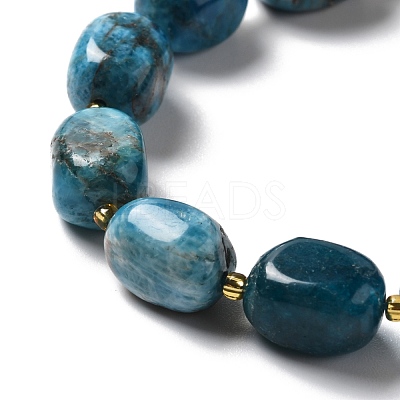 Natural Apatite Beads Strands G-B028-B09-1