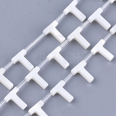 Natural Freshwater Shell Beads SHEL-T012-59T-1