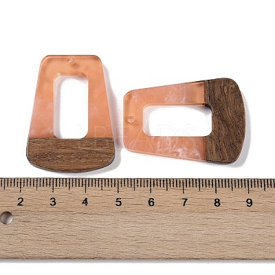 Resin & Wood Pendants LS-WOOD-F015-11B-1