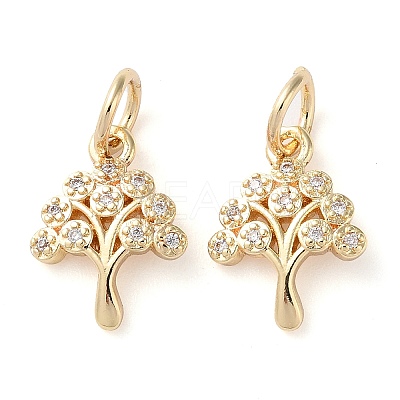 Rack Plating Brass Micro Pave Clear Cubic Zirconia Charms KK-D097-05G-1
