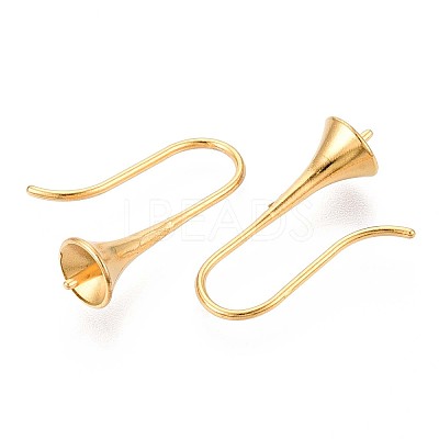 Ion Plating(IP) 304 Stainless Steel Earring Hooks X-STAS-N108-30G-1