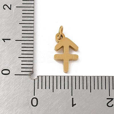 304 Stainless Steel Charms LS-STAS-R001-04G-09-1