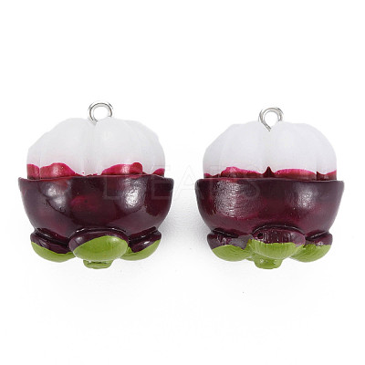 Opaque Resin Pendants RESI-S356-074-1