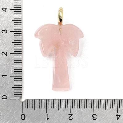 Natural Rose Quartz Carved Pendants G-C282-04B-1