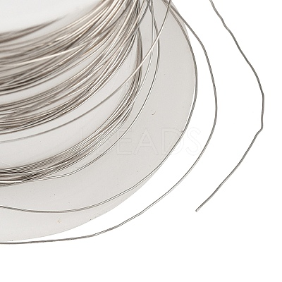 304 Stainless Steel Wire STAS-A115-01P-0.3mm-1