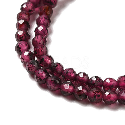 Natural Garnet Beads Strands X-G-I341-09A-1