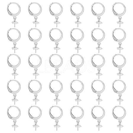 30Pcs 314 Stainless Steel Leverback Earring Findings STAS-UN0037-62-1