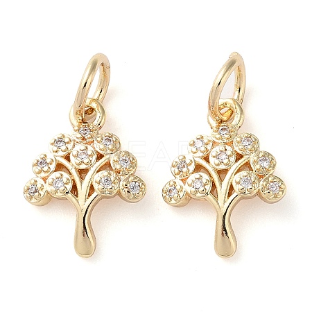 Rack Plating Brass Micro Pave Clear Cubic Zirconia Charms KK-D097-05G-1