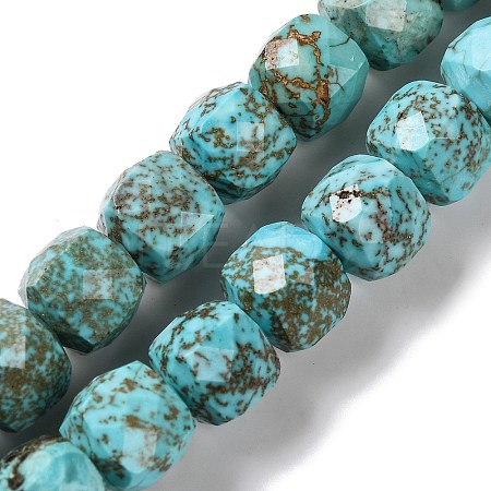 Natural Howlite Beads Strands G-G001-B03-02-1