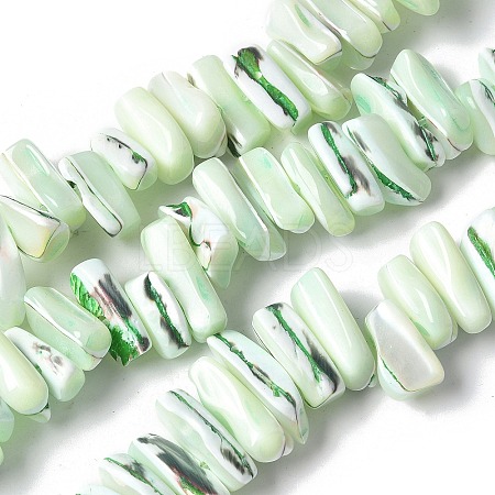 Dyed Natural Trochus Shell Beads Strands SSHEL-C013-09I-1