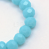 Opaque Solid Glass Bead Strands X-GLAA-R166-3mm-02K-2