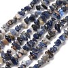 Natural Sodalite Chips Beads Strands X-F024-2