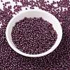 MIYUKI Round Rocailles Beads SEED-JP0009-RR0313-2