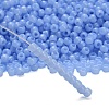 TOHO 6/0 Round Beads SEED-XTR06-1146-2