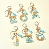 Transparent Epoxy Resin Pendant Keychains KEYC-FS00022-04-11