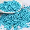 Baking Paint Glass Seed Beads X-SEED-S042-05B-58-1