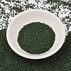 MIYUKI Delica Beads SEED-MY11-DB2291-2