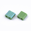 FGB 2-Hole Glass Seed Beads SEED-S031-L-047-R-2