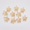 Brass Micro Pave Cubic Zirconia Charms KK-A144-021G-1