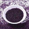 MIYUKI Delica Beads SEED-X0054-DB1312-3