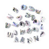 Opaque Rainbow Iridescent Acrylic Beads OACR-P010-22A-1