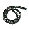 Natural Moss Agate Beads Strands G-A248-A02-01-3