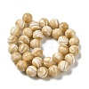 Natural Trochus Shell Beads Strands SHEL-K006-18C-2