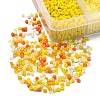 8500Pcs 10 Style Glass Seed Beads SEED-YW0001-80F-3