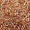 Glass Seed Beads SEED-S042-04B-17-3